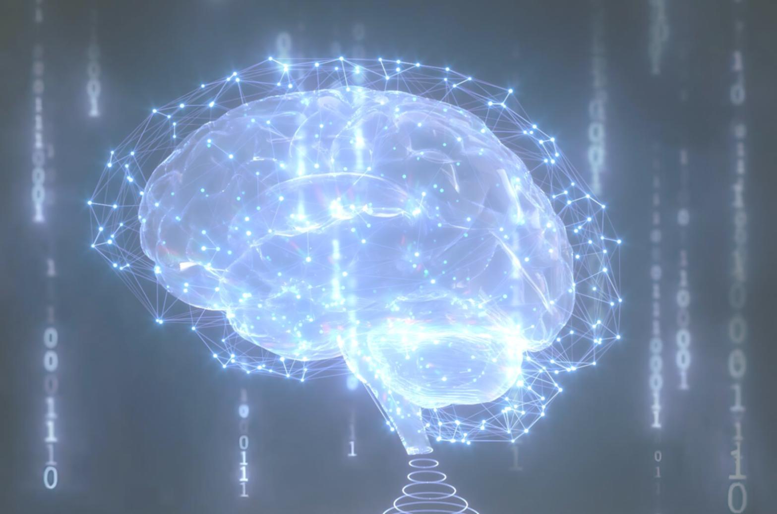 Professional training session with AI insurance technology